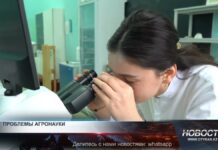 Почему Казахстану необходимо инвестировать в аграрную науку Роль государства: Выделение средств на научные исследования - ключ к росту сельского хозяйства