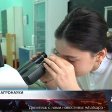 Почему Казахстану необходимо инвестировать в аграрную науку Роль государства: Выделение средств на научные исследования - ключ к росту сельского хозяйства