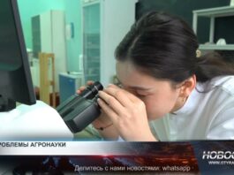 Роль государства: Выделение средств на научные исследования - ключ к росту сельского хозяйства