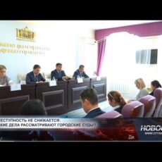 Семейные споры доминируют в делах городских судов Шымкента