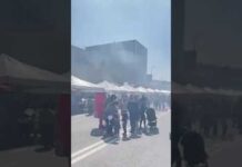 Гастрономический фестиваль «ДәмДәсTour» проходит в Шымкенте Гастрономический фестиваль «ДәмДәсTour» проходит в Шымкенте