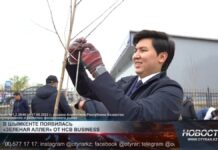 Home Credit Bank подарил Шымкенту зеленую аллею в дендропарке Home Credit Bank подарил Шымкенту зеленую аллею в дендропарке