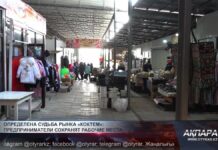 В акимате Шымкента озвучили решение по работникам рынка «Коктем» Торговцы рынка "Коктем" смогут сохранить свои рабочие места