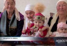 101 год любви и традиций 101 год любви и традиций