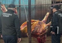 Мясо сомнительного происхождения разделывали и продавали в Шымкенте Мясо сомнительного происхождения разделывали и продавали в Шымкенте