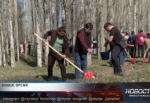 Красота возвращается на исторические земли Шымкента В рамках декады Наурызнама в городе стартовала масштабная акция по озеленению