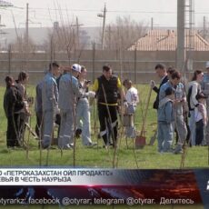 «ПетроКазахстан Ойл Продактс» укрепляет семейные ценности и защищает окружающую среду Сотрудники ТОО «ПетроКазахстан Ойл Продактс» в Наурыз посадили деревья с детьми