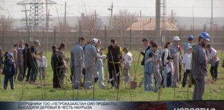 «ПетроКазахстан Ойл Продактс» укрепляет семейные ценности и защищает окружающую среду Сотрудники ТОО «ПетроКазахстан Ойл Продактс» в Наурыз посадили деревья с детьми