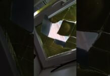 В Шымкенте полицейского обвиняют в издевательствах над женой