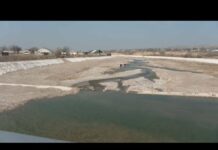 В зону паводкового риска попали 15 строений в Шымкенте В зону паводкового риска попали 15 строений в Шымкенте