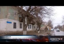 Как в Шымкенте намерены решить проблему Зеленой балки Как в Шымкенте намерены решить проблему Зеленой балки