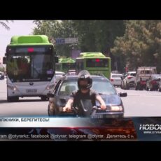 Больше миллиарда тенге задолжали шымкентцы по налогу на транспорт Больше миллиарда тенге задолжали шымкентцы по налогу на транспорт