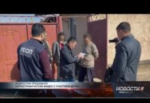 Молодые люди продавали порнографическое видео с участием детей Молодые люди продавали порнографическое видео с участием детей