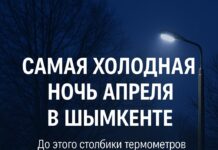 Сегодня Шымкент переживёт самую холодную ночь апреля Cамая холодная ночь апреля в Шымкенте