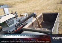 Жара до 45°C: угроза фермерам и всему живому