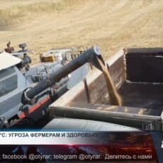 Жара до 45°C: угроза фермерам и всему живому