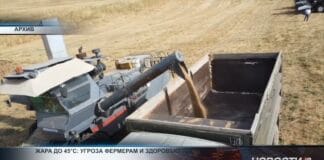 Жара до 45°C: угроза фермерам и всему живому