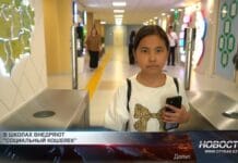 В школах Шымкента внедряется проект «Социальный кошелек» В школах Шымкента внедряется проект "Социальный кошелек"