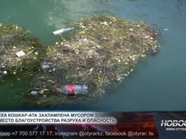 Кошкарату в Шымкенте завалили мусором