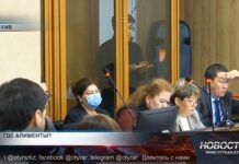 Бишимбаев перестал выполнять свои обязательства по алиментам Бывшая жена Бишимбаева заявила, что его семья прекратила выплату алиментов