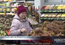 В Шымкенте открыли торговую сеть качественных продуктов по низким ценам В Шымкенте запущена сеть социальных торговых павильонов под брендом "Бақша"