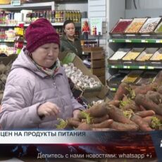 В Шымкенте открыли торговую сеть качественных продуктов по низким ценам В Шымкенте запущена сеть социальных торговых павильонов под брендом "Бақша"