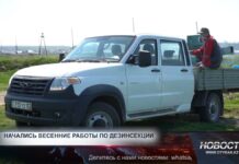 В Шымкенте проходит весенняя дезинсекция В Шымкенте проходит весенняя дезинсекция