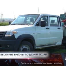 В Шымкенте проходит весенняя дезинсекция В Шымкенте проходит весенняя дезинсекция