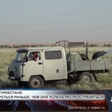 В Туркестанской области начали раннюю борьбу с саранчой В Туркестанской области начали раннюю борьбу с саранчой