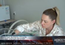 Размер выплаты по беременности и родам ограничили Размер выплаты по беременности и родам теперь равен 7 МЗП