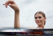 Разводиться станет дороже Расторжение брака