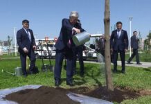 Президент посетил парк Shymkent City и посадил дерево Президент посетил парк Shymkent City и посадил дерево