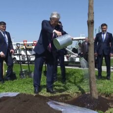 Президент посетил парк Shymkent City и посадил дерево Президент посетил парк Shymkent City и посадил дерево