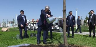 Президент посетил парк Shymkent City и посадил дерево Президент посетил парк Shymkent City и посадил дерево