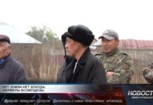 В Жетысайском районе фермеров лишили последнего В Жетысайском районе фермеров оставили без земли