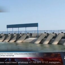 Аким Туркестанской области взял на контроль обеспечение поливной водой Вопрос обеспечения поливной водой находится под контролем Нуралхана Кушерова