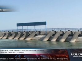 Вопрос обеспечения поливной водой находится под контролем Нуралхана Кушерова