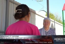 Из дома в приют: когда семья становится угрозой Из дома в приют: когда семья становится угрозой