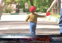 Судьба дендропарка Шымкента снова под вопросом