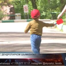 Судьба дендропарка Шымкента снова под вопросом