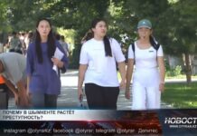 Преступность в Шымкенте растёт, несмотря на снижение в Казахстане Преступность в Шымкенте растёт