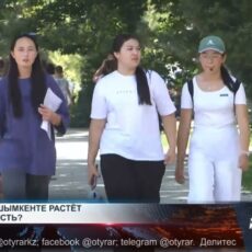 Преступность в Шымкенте растёт, несмотря на снижение в Казахстане Преступность в Шымкенте растёт