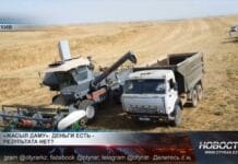 Депутаты критикуют работу «Жасыл Даму» и предлагают комплексную проверку Депутаты критикуют работу "Жасыл Даму"