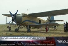 Угроза урожаю: в Арысе проводят химобработку В Арысе ведётся интенсивная борьба с марокканской саранчой