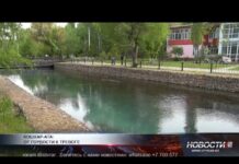 Кошкарата в плачевном состоянии: кто виноват в уничтожении природного наследия Река Кошкарата в плачевном состоянии