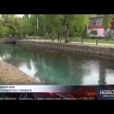 Кошкарата в плачевном состоянии: кто виноват в уничтожении природного наследия Река Кошкарата в плачевном состоянии