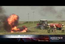 Штраф за мангал — правда или миф? Сжигать сухую траву или мусор можно только при соблюдении строгих правил