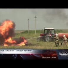 Штраф за мангал — правда или миф? Сжигать сухую траву или мусор можно только при соблюдении строгих правил