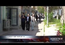 Жаркая неделя в Шымкенте: как спастись от палящего солнца Жаркая неделя в Шымкенте