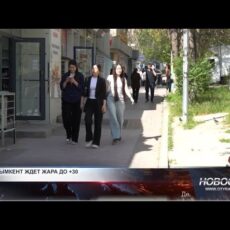 Жаркая неделя в Шымкенте: как спастись от палящего солнца Жаркая неделя в Шымкенте